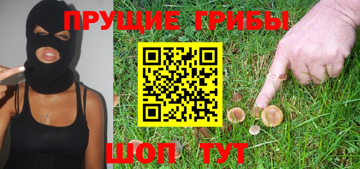 Псилоцибиновые грибы мухоморы Михайловск
